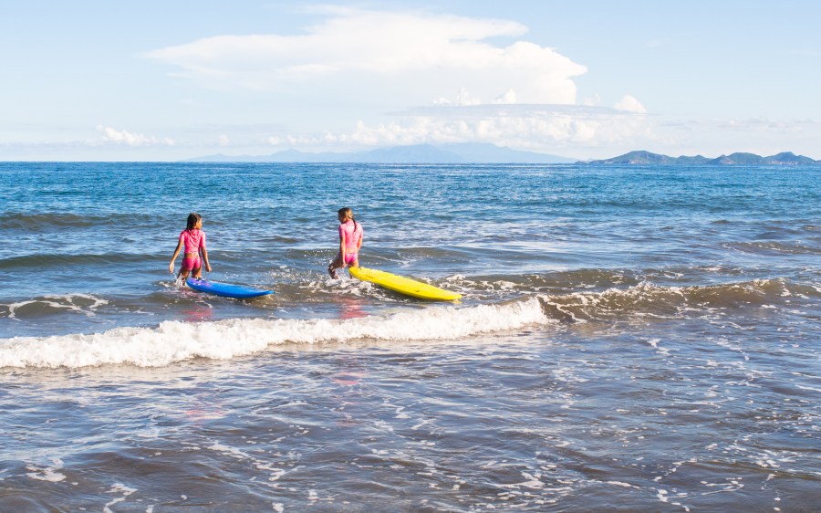 bananier, plage, guadeloupe