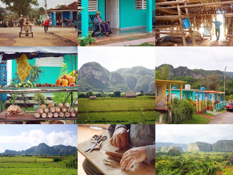photographie, cuba, vinales, caraibes