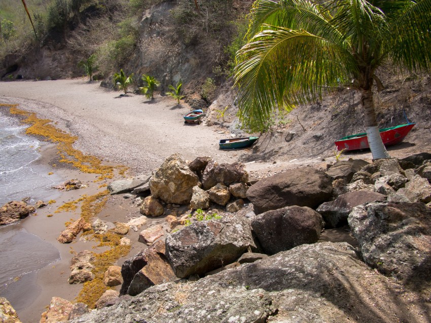 terre de bas, guadeloupe, saintes, photographie, paysage