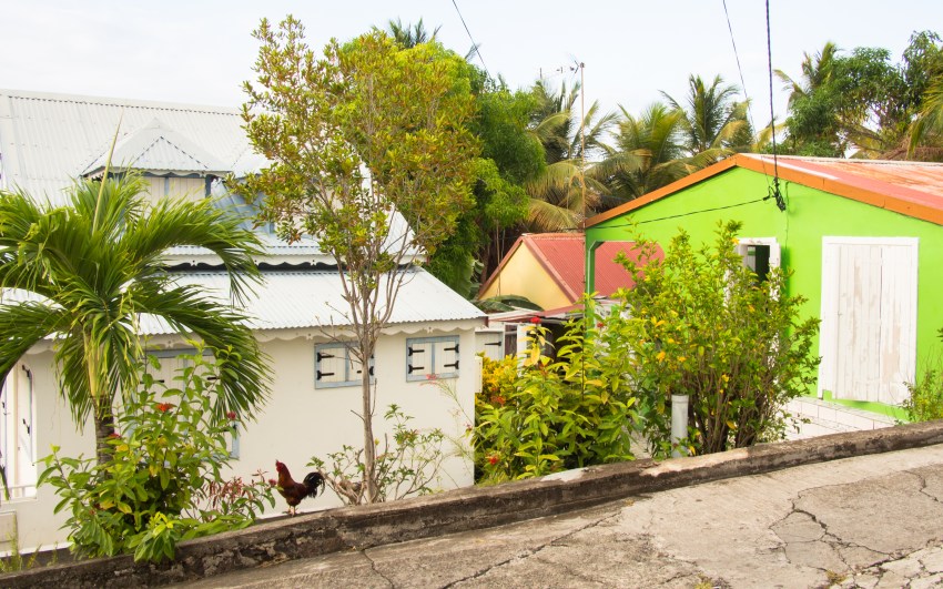 terre de bas, guadeloupe, saintes, photographie, paysage