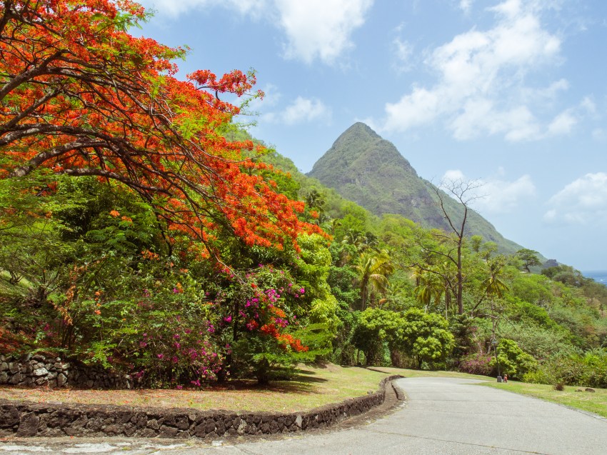 sainte lucie, soufrière, pitons, antilles, caraibes, stlucia