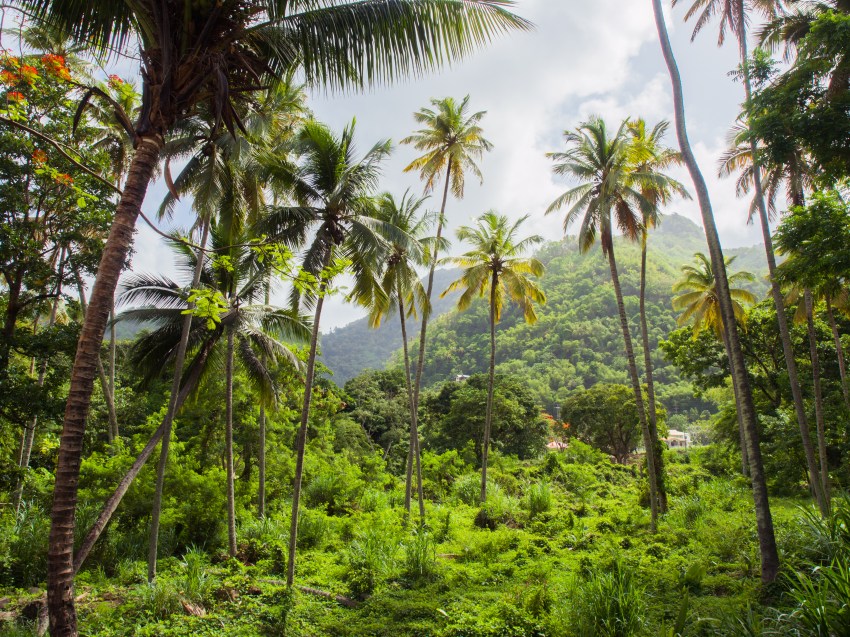 sainte lucie, soufrière, pitons, antilles, caraibes, stlucia