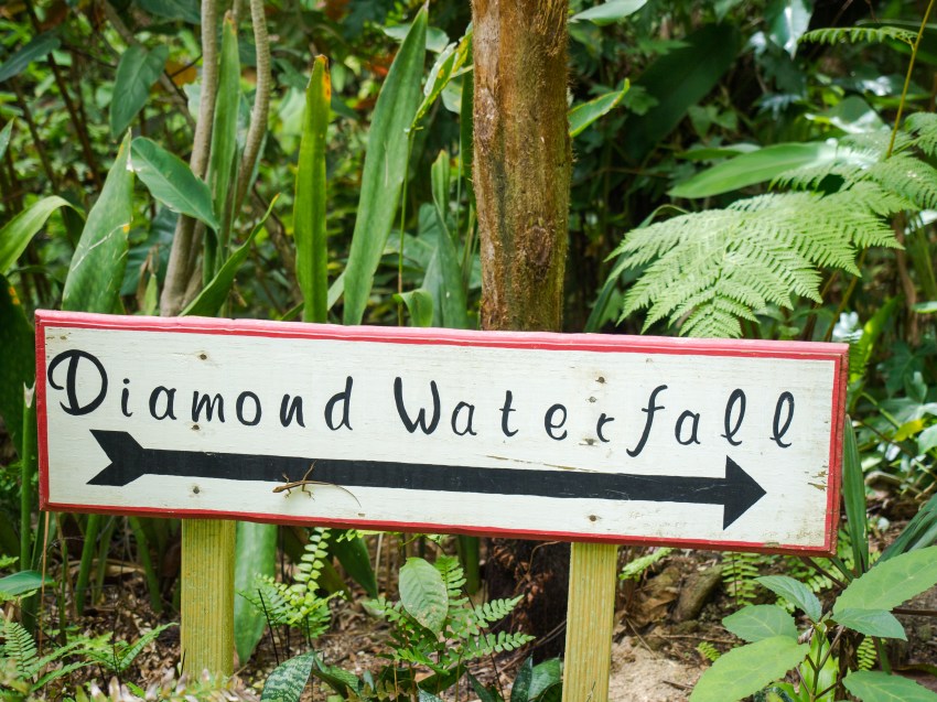 sainte lucie, soufrière, pitons, antilles, caraibes, stlucia