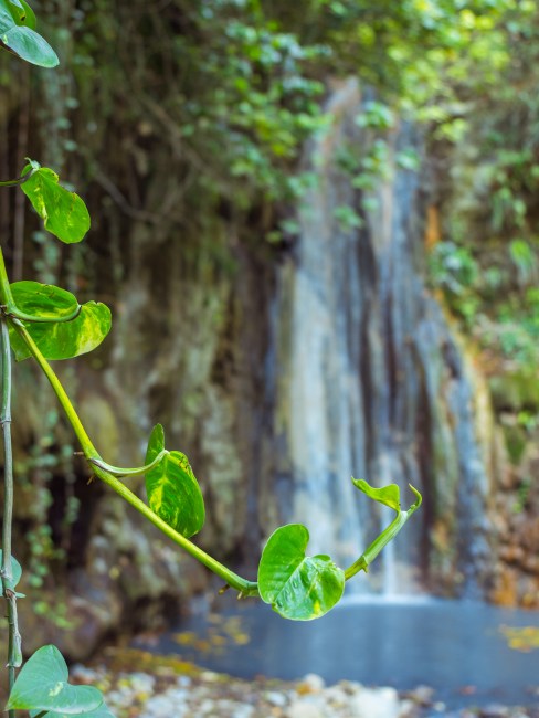sainte lucie, soufrière, pitons, antilles, caraibes, stlucia
