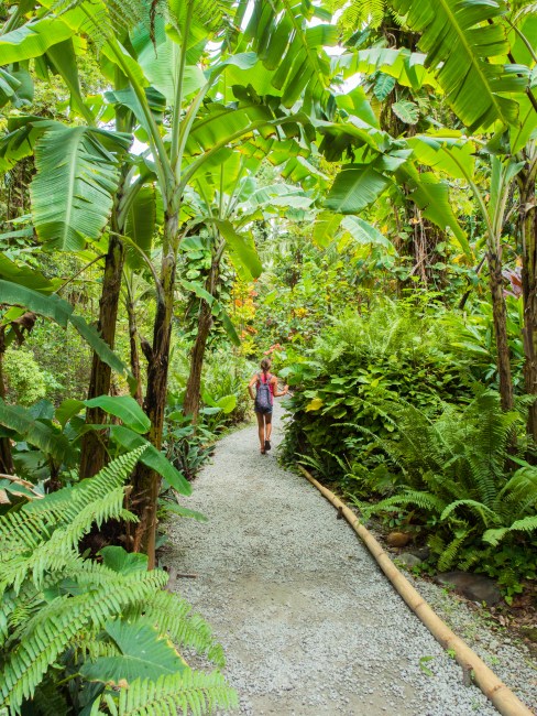 sainte lucie, soufrière, pitons, antilles, caraibes, stlucia