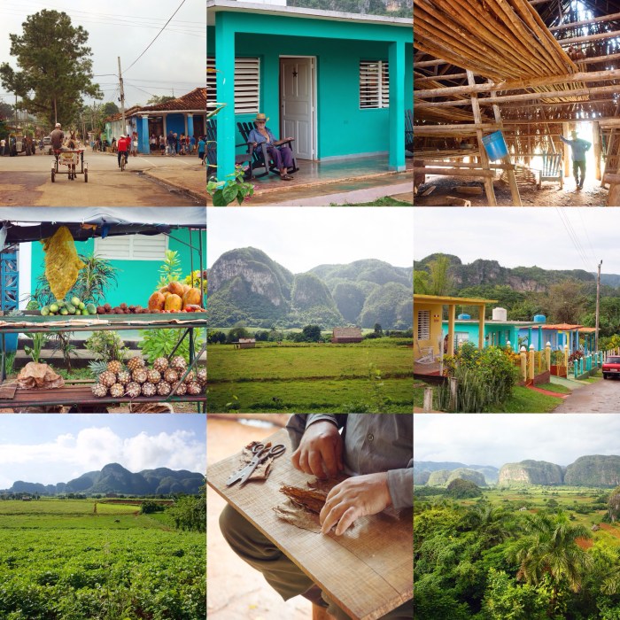 photographie, cuba, vinales, caraibes