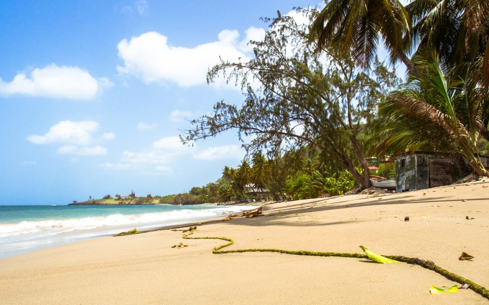 sainte lucie, laborie, caraïbes