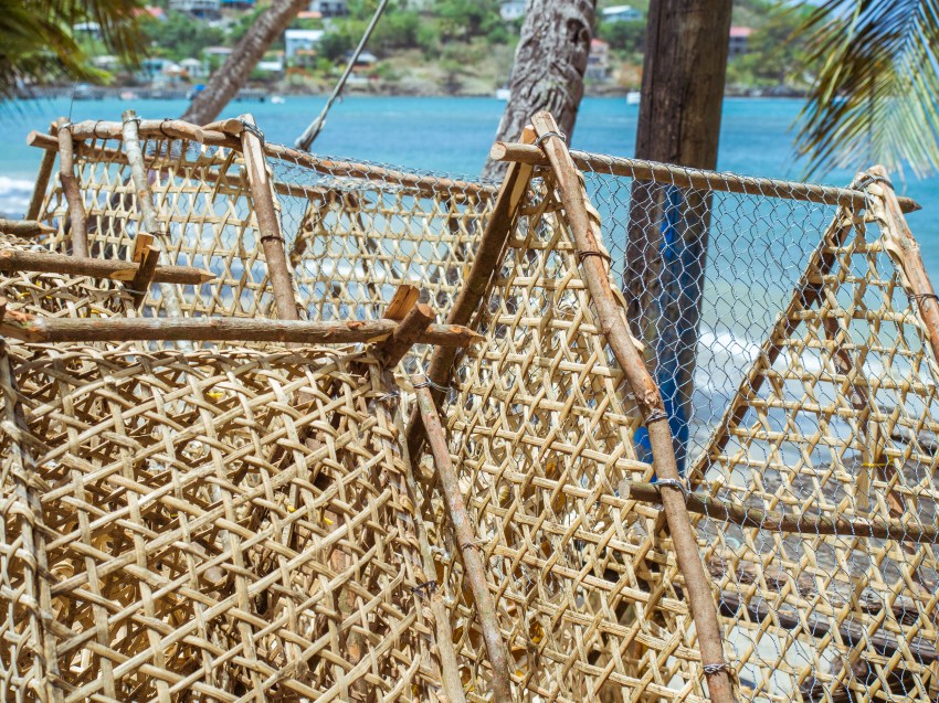 sainte lucie, laborie, caraïbes