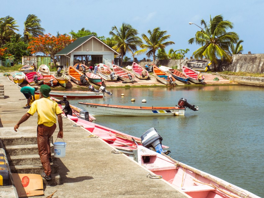 sainte-lucie, choiseul, photographie, paysage, plage