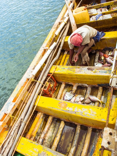 sainte-lucie, choiseul, photographie, paysage, plage