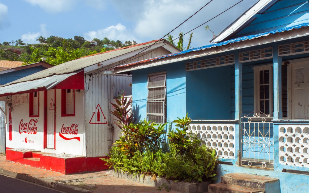anse la raye, sainte lucie, photographie, village, fish party