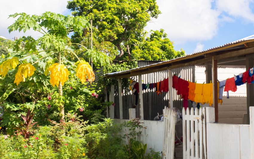 marie galante, guadeloupe, paysage, capesterre, plage feuillère