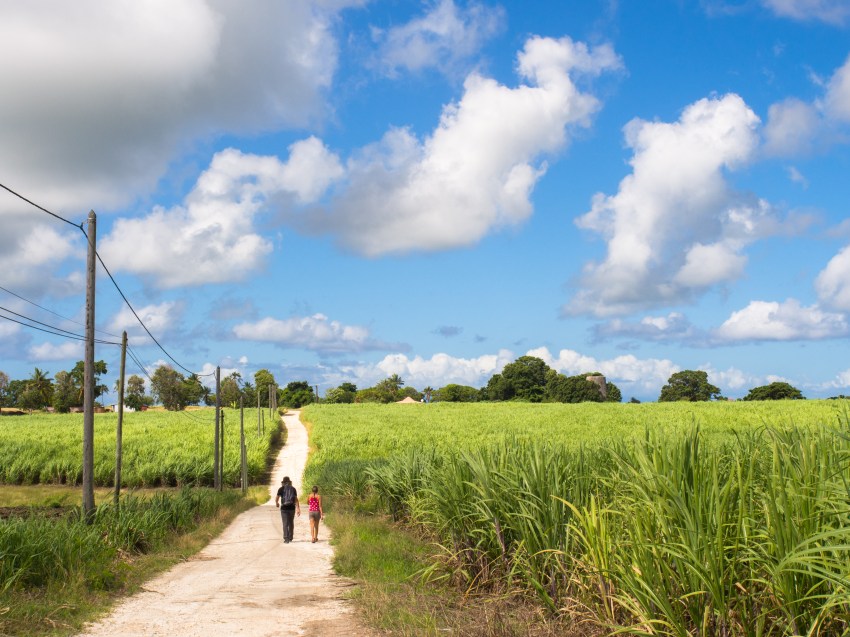 marie galante, guadeloupe, paysage, capesterre,