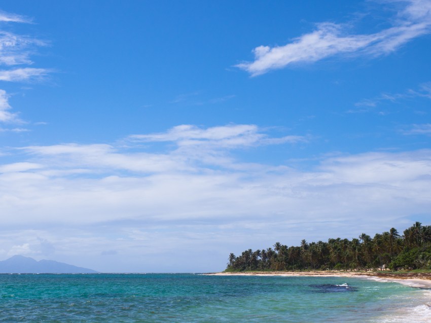 marie galante, guadeloupe, paysage, capesterre, plage feuillère