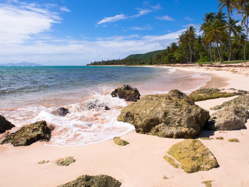 marie galante, guadeloupe, paysage, capesterre, plage feuillère