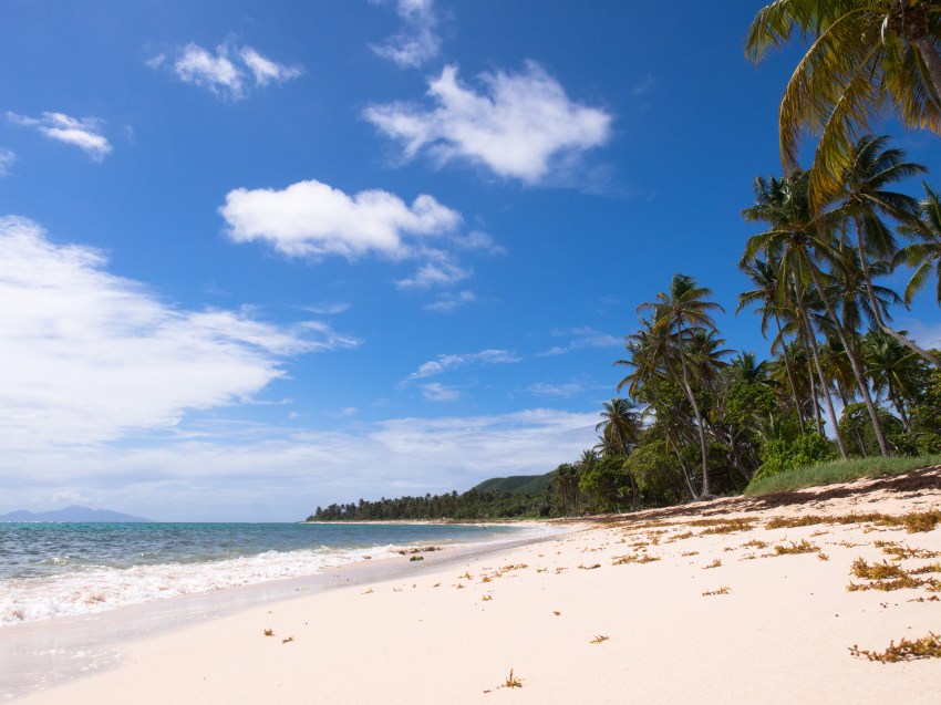 marie galante, guadeloupe, paysage, capesterre, plage feuillère