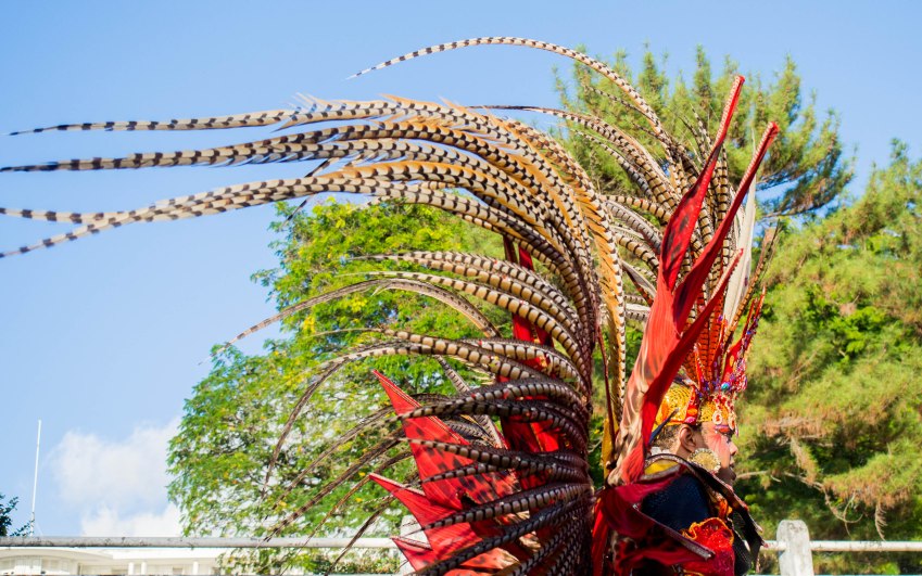 mardi gras, parade, basse terre, guadeloupe