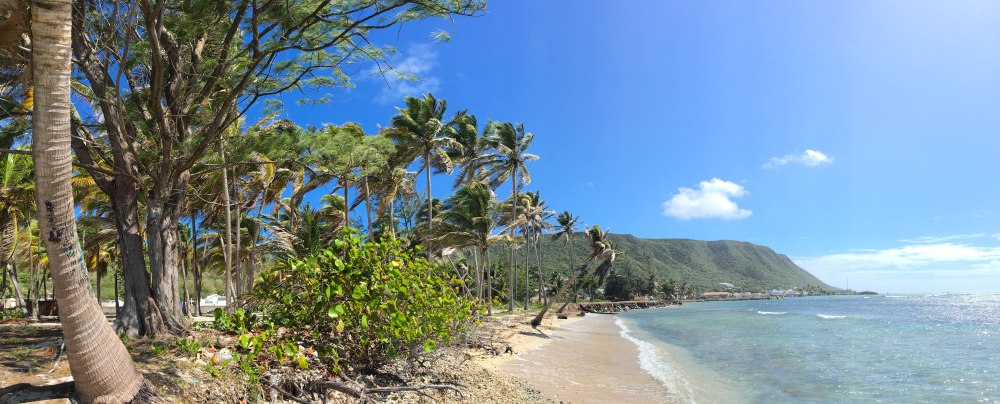désirade, guadeloupe, antilles