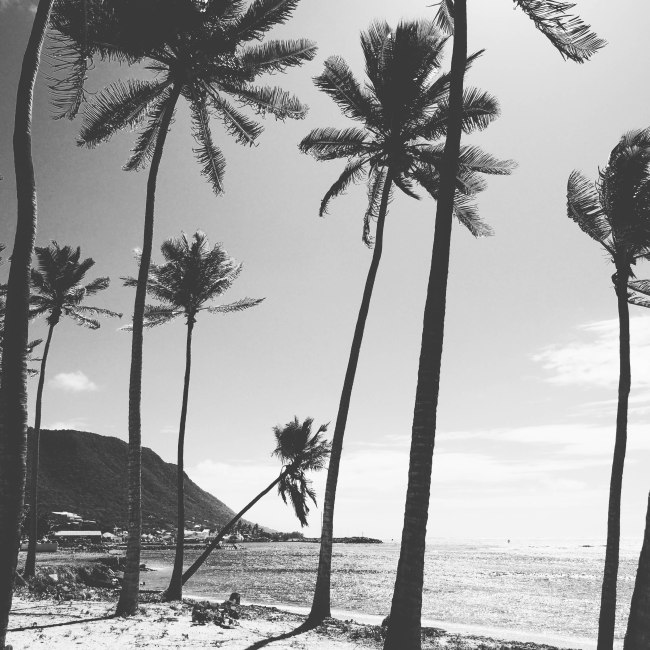 désirade, guadeloupe, antilles