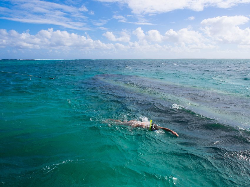 îlet caret, lagon, guadeloupe