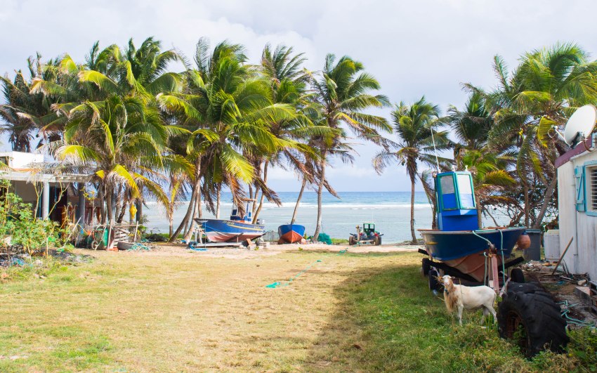 désirade, guadeloupe, antilles