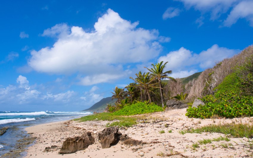 désirade, guadeloupe, antilles