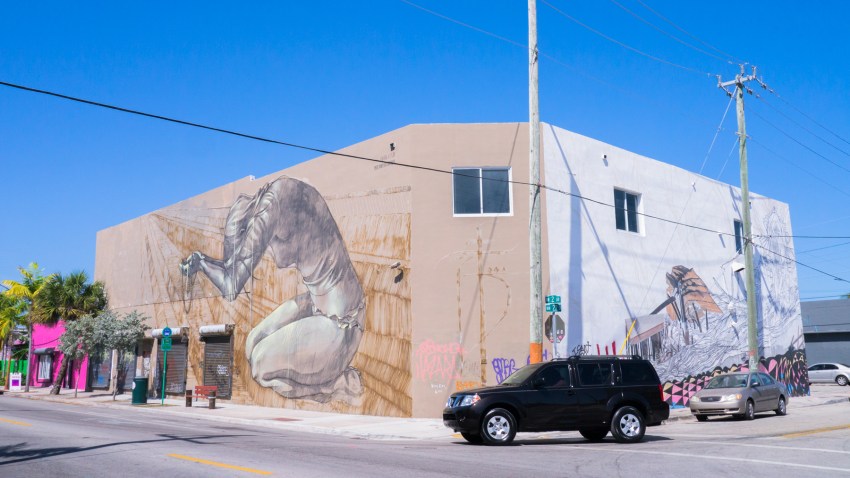 miami, wynwood art district, street art