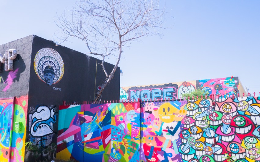miami, wynwood art district, street art
