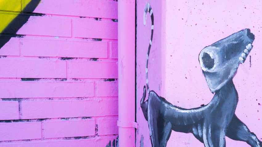 miami, wynwood art district, street art