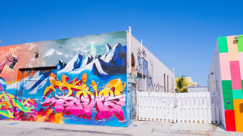 miami, wynwood art district, street art