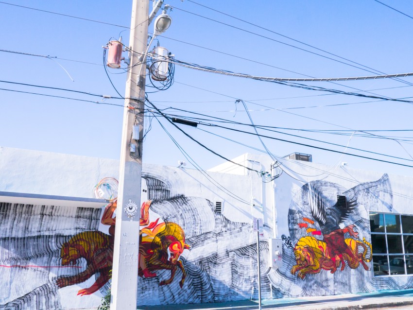 miami, wynwood art district, street art