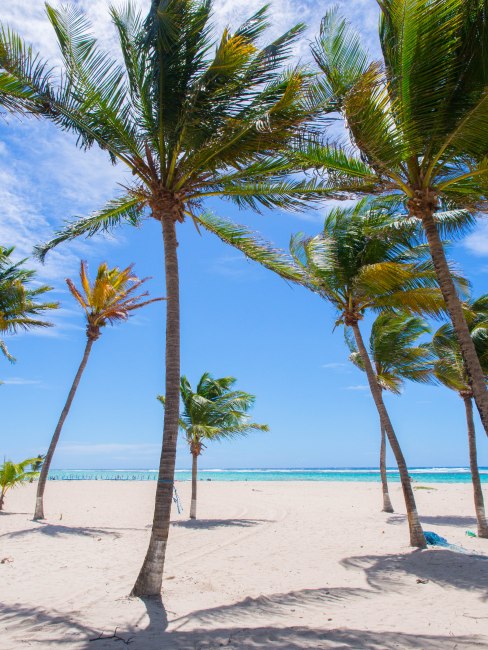 la désirade, guadeloupe, beauséjour