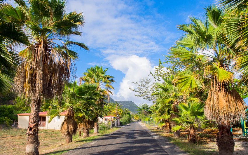 désirade, guadeloupe, souffleur
