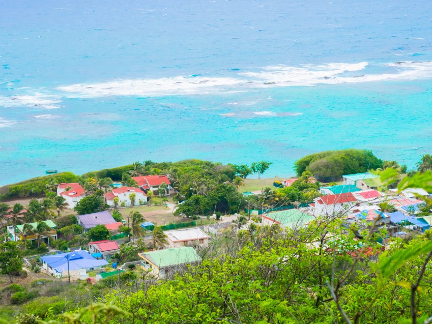 désirade, guadeloupe, souffleur