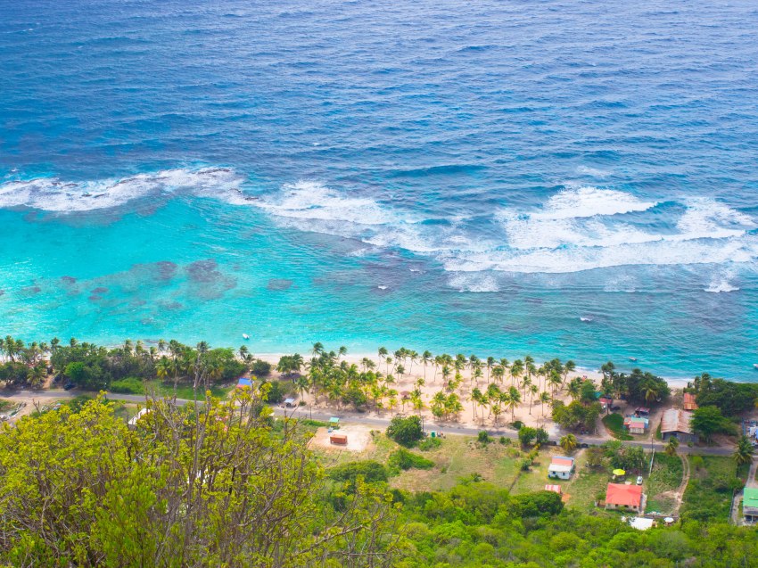désirade, guadeloupe, souffleur