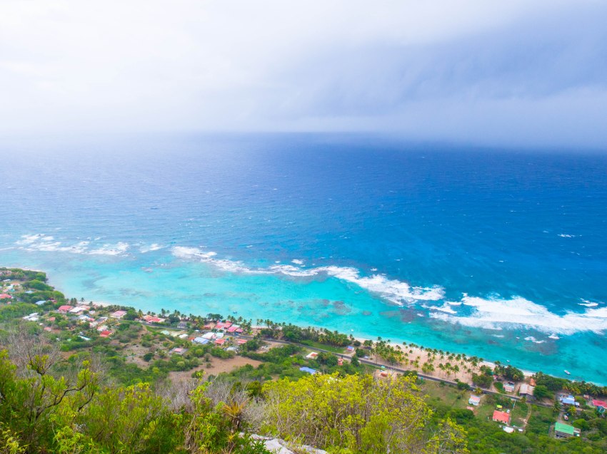 désirade, guadeloupe, souffleur