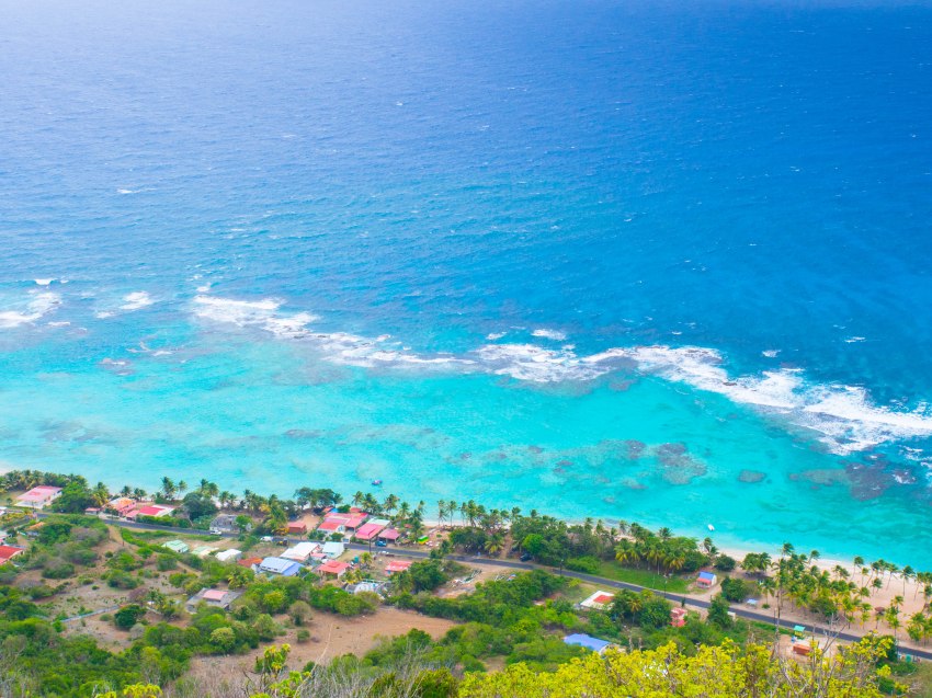 désirade, guadeloupe, souffleur