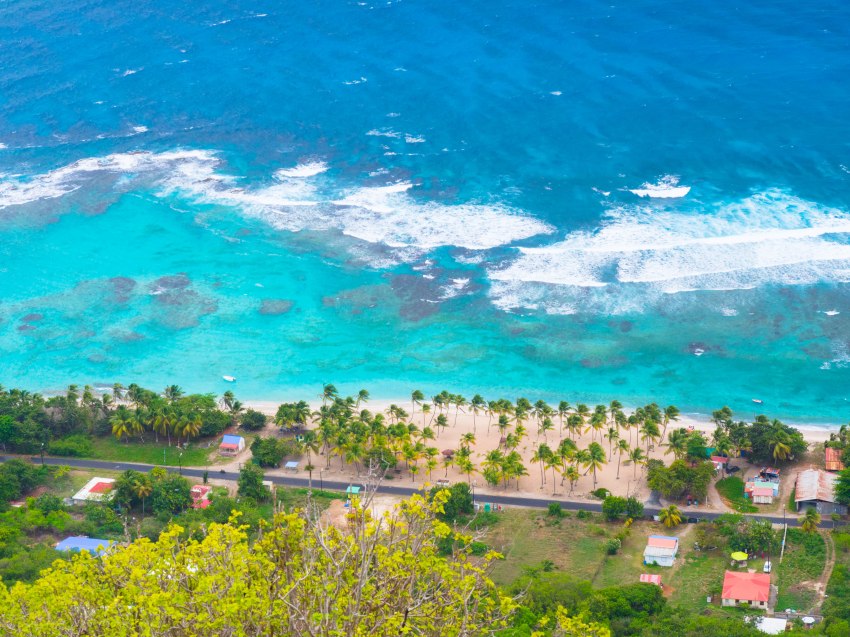 désirade, guadeloupe, souffleur