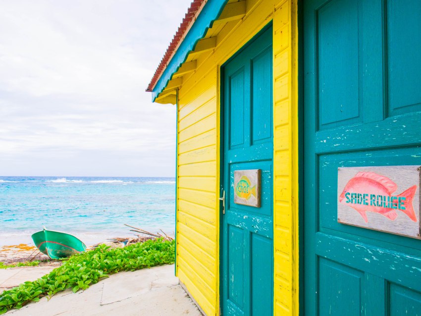 désirade, guadeloupe, souffleur
