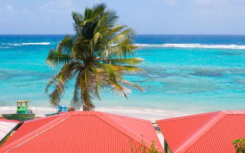 désirade, guadeloupe, souffleur