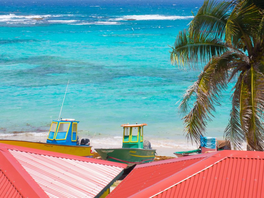 désirade, guadeloupe, souffleur