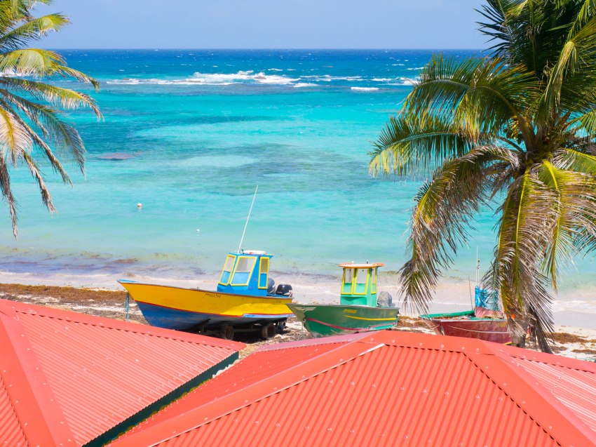 désirade, guadeloupe, souffleur