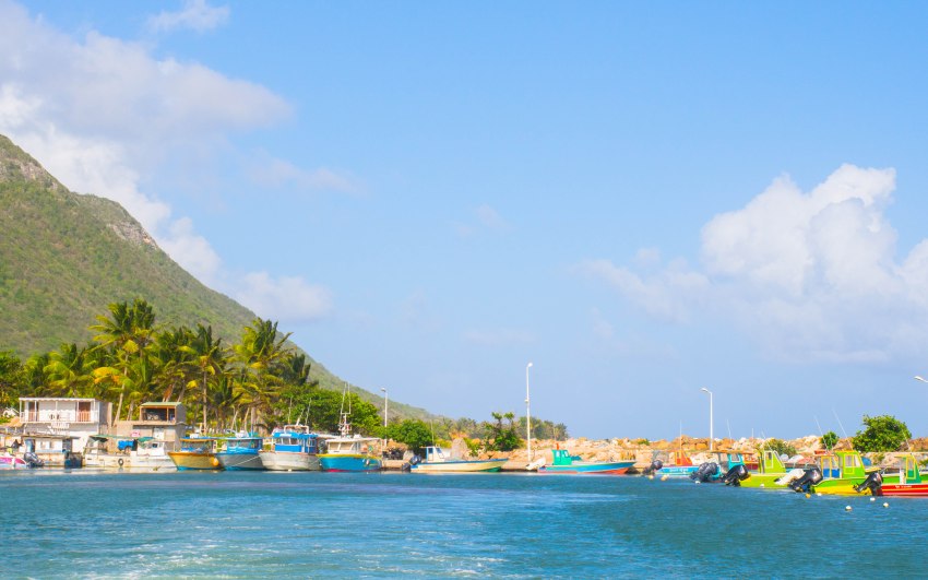 désirade, guadeloupe, souffleur