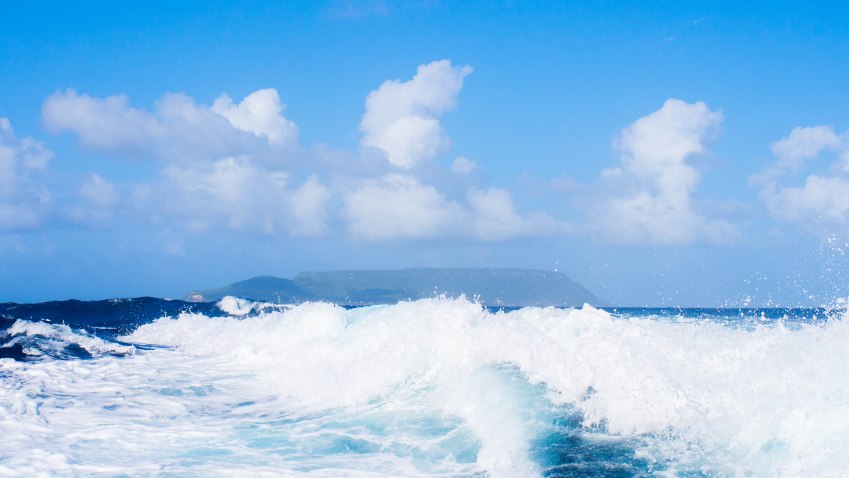 désirade, guadeloupe, souffleur