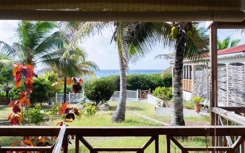 désirade, guadeloupe, souffleur