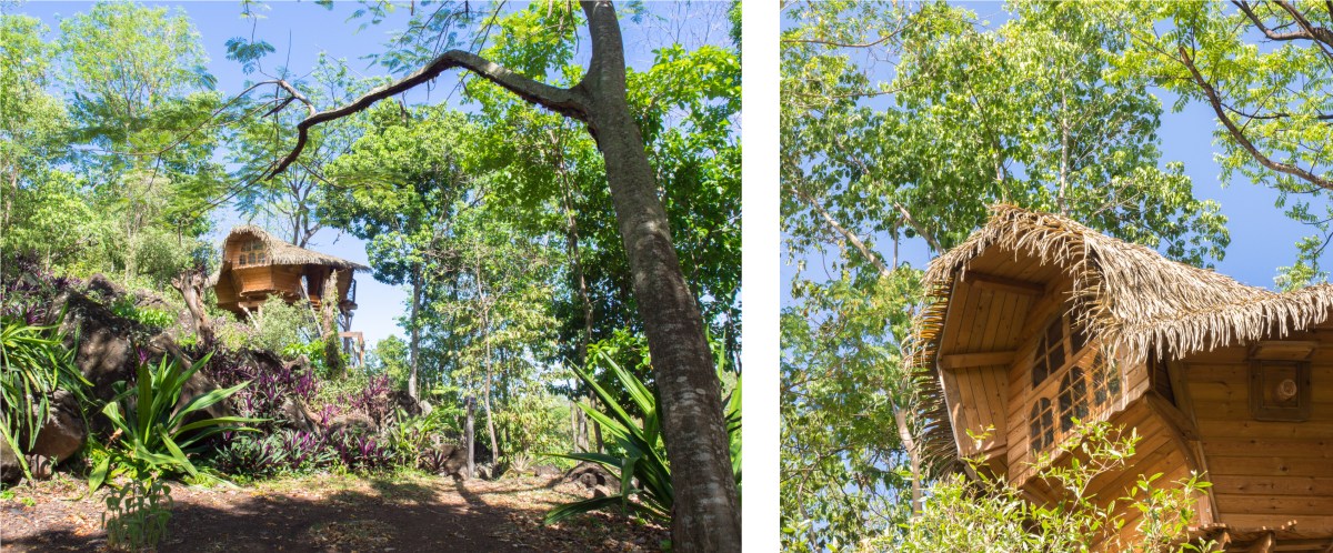 cabane, habitation getz, vieux habitants, basse terre, guadeloupe