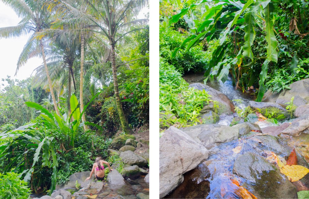 dolé, guadeloupe, bassins, basse terre