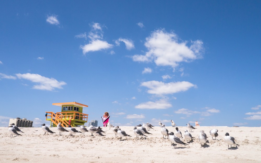 lifeguards, miami, south beach, poste de secours