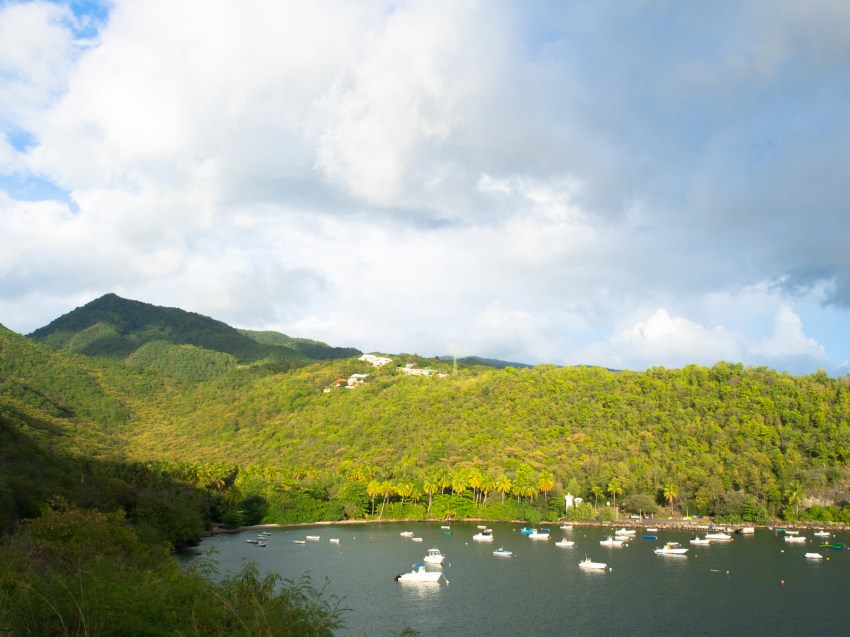 guadeloupe, anse à la barque, basse terre, vieux habitants