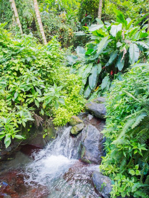 dolé, guadeloupe, bassins, basse terre